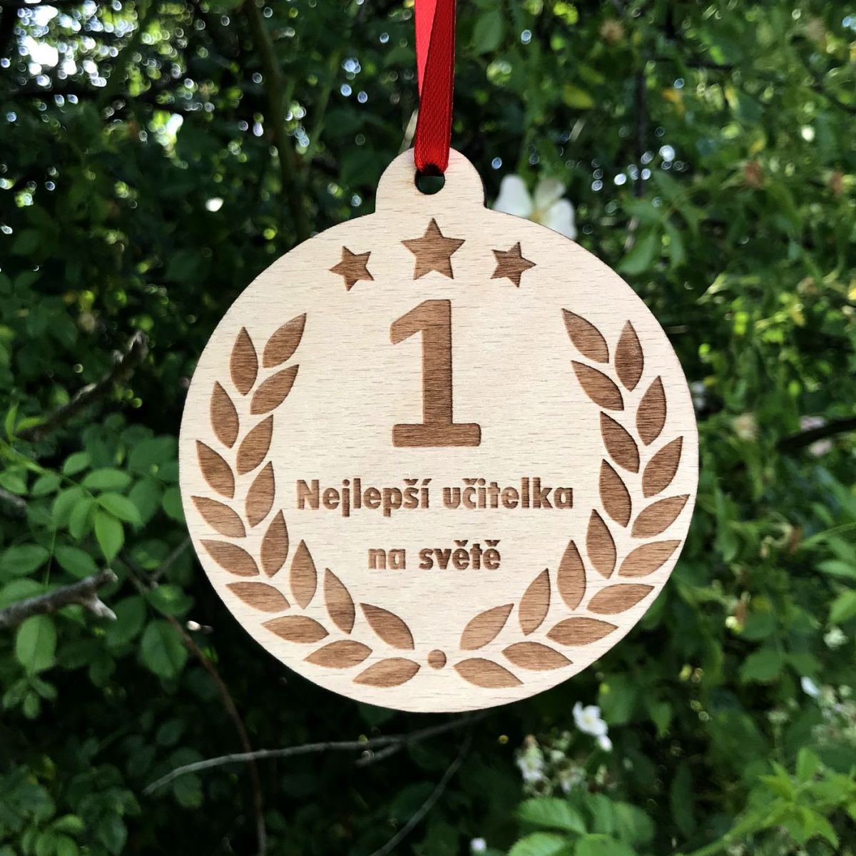 Medaile - Nejlepší učitelka/učitel - s věnováním